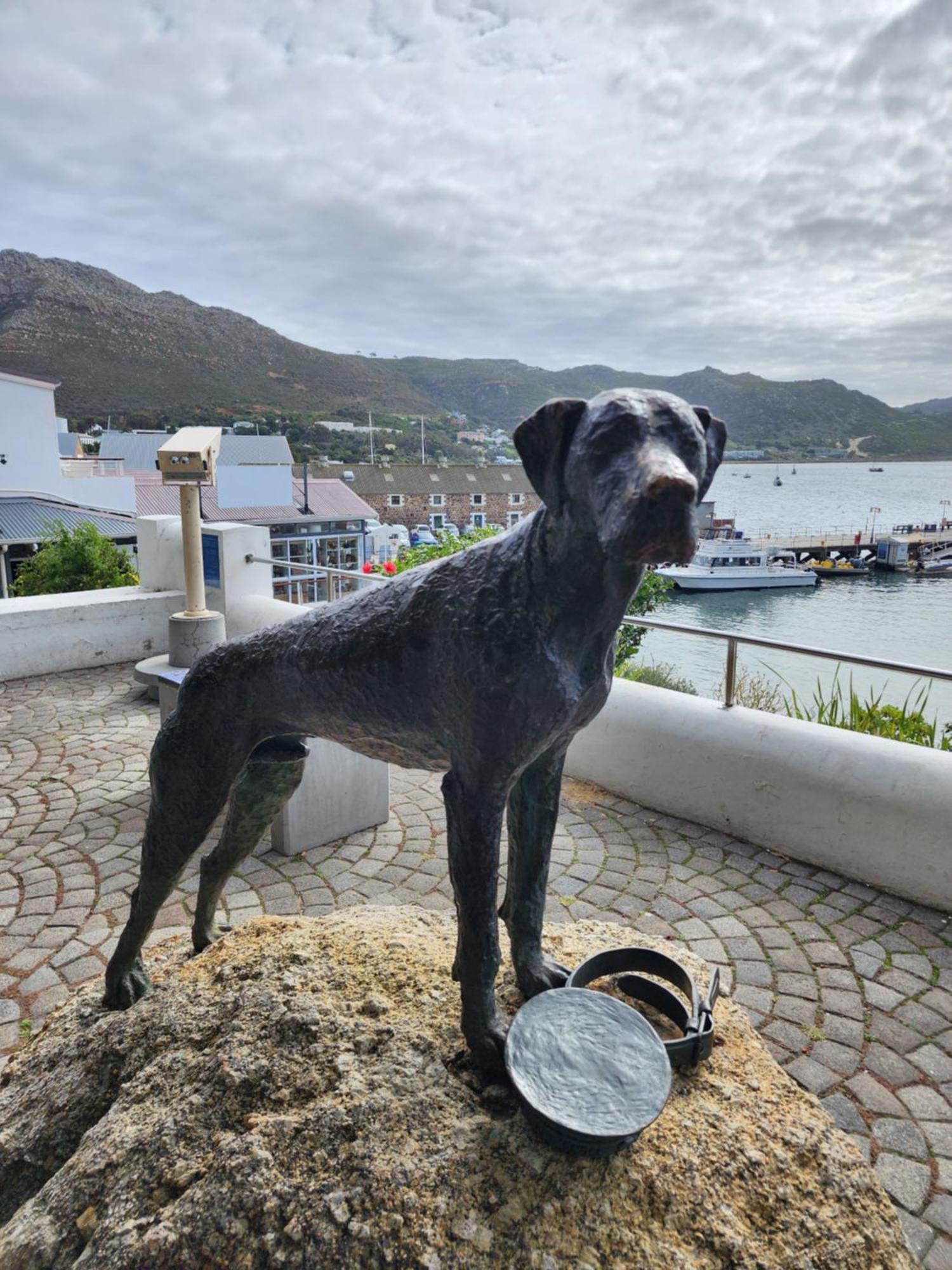 Boulders Blue Bed And Breakfast Simonʼs Town Esterno foto