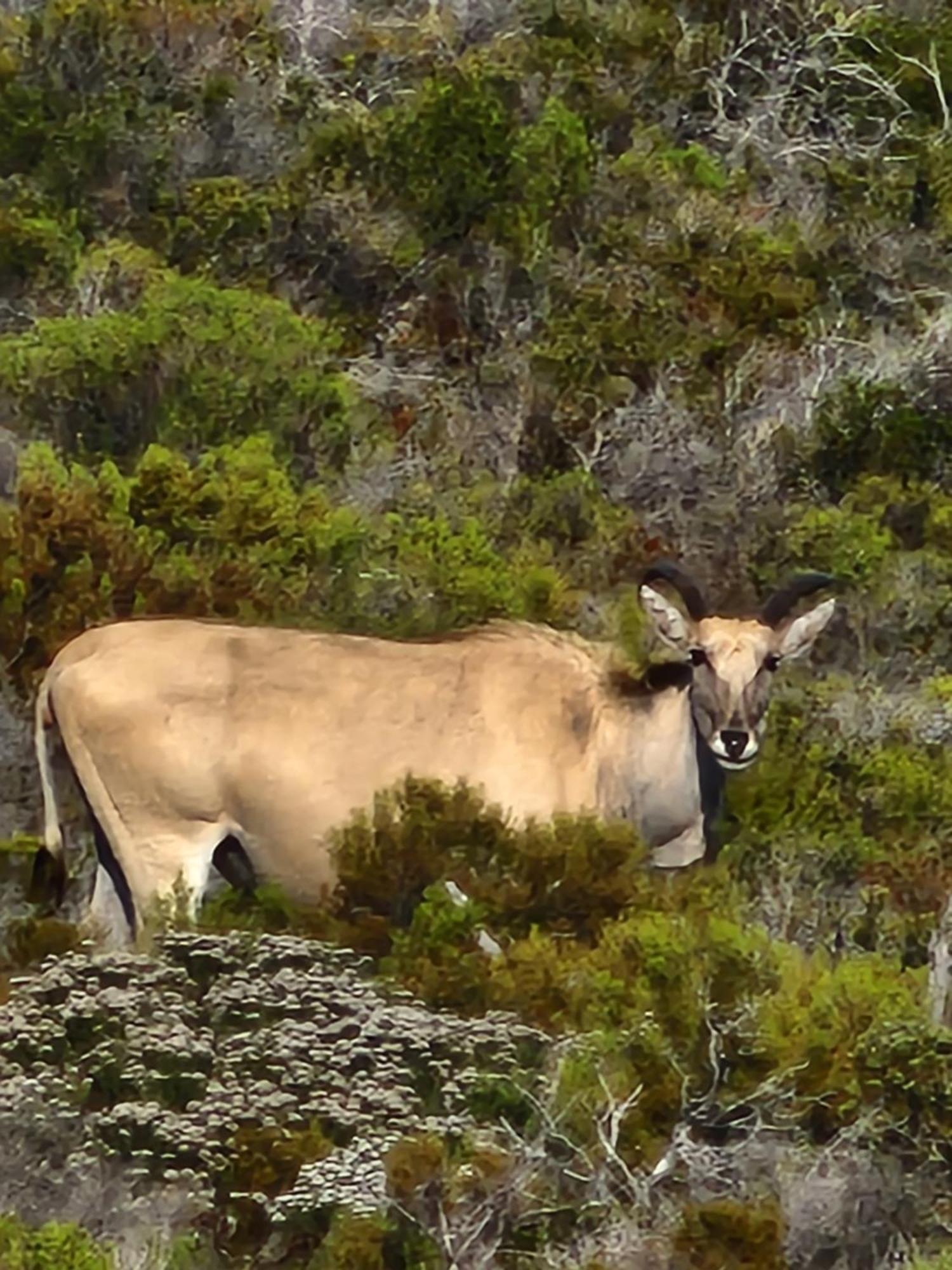 Boulders Blue Bed And Breakfast Simonʼs Town Esterno foto
